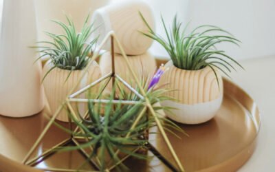 The standard Lorem Ipsum