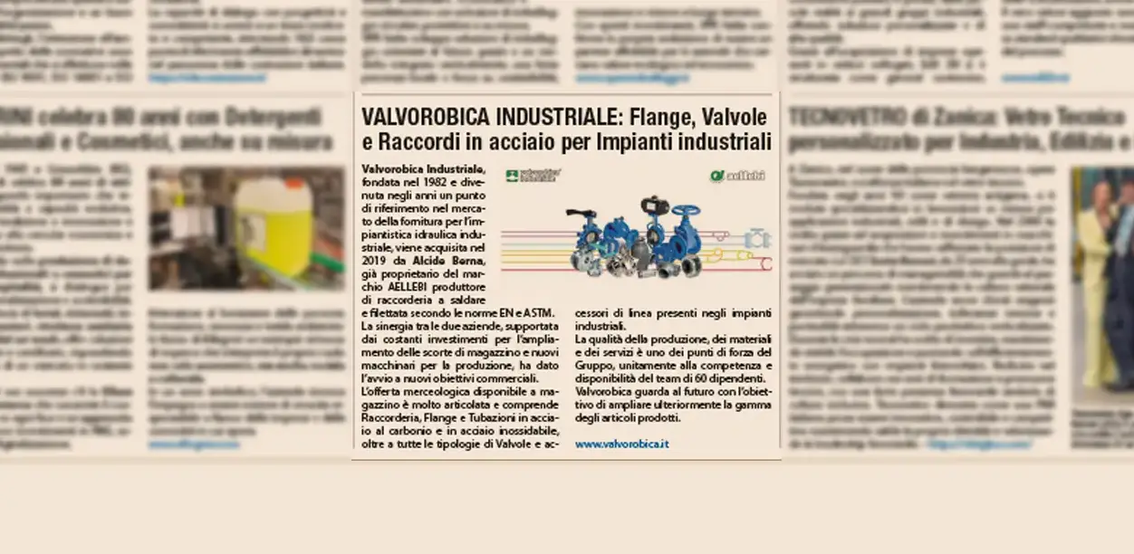 Valvorobica-Industriale-Banner-Il-Sole-24-Ore